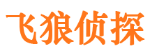 嘉定市私家侦探